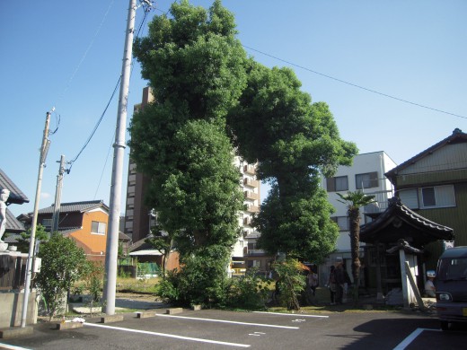 saij01