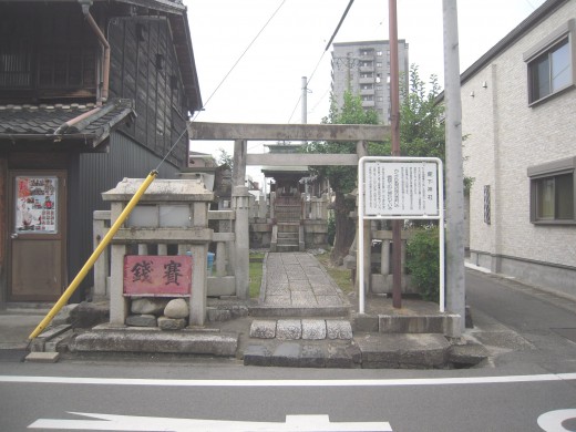 togj01